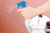 Домашни рецепти за борба с мравките - Бран Инсект